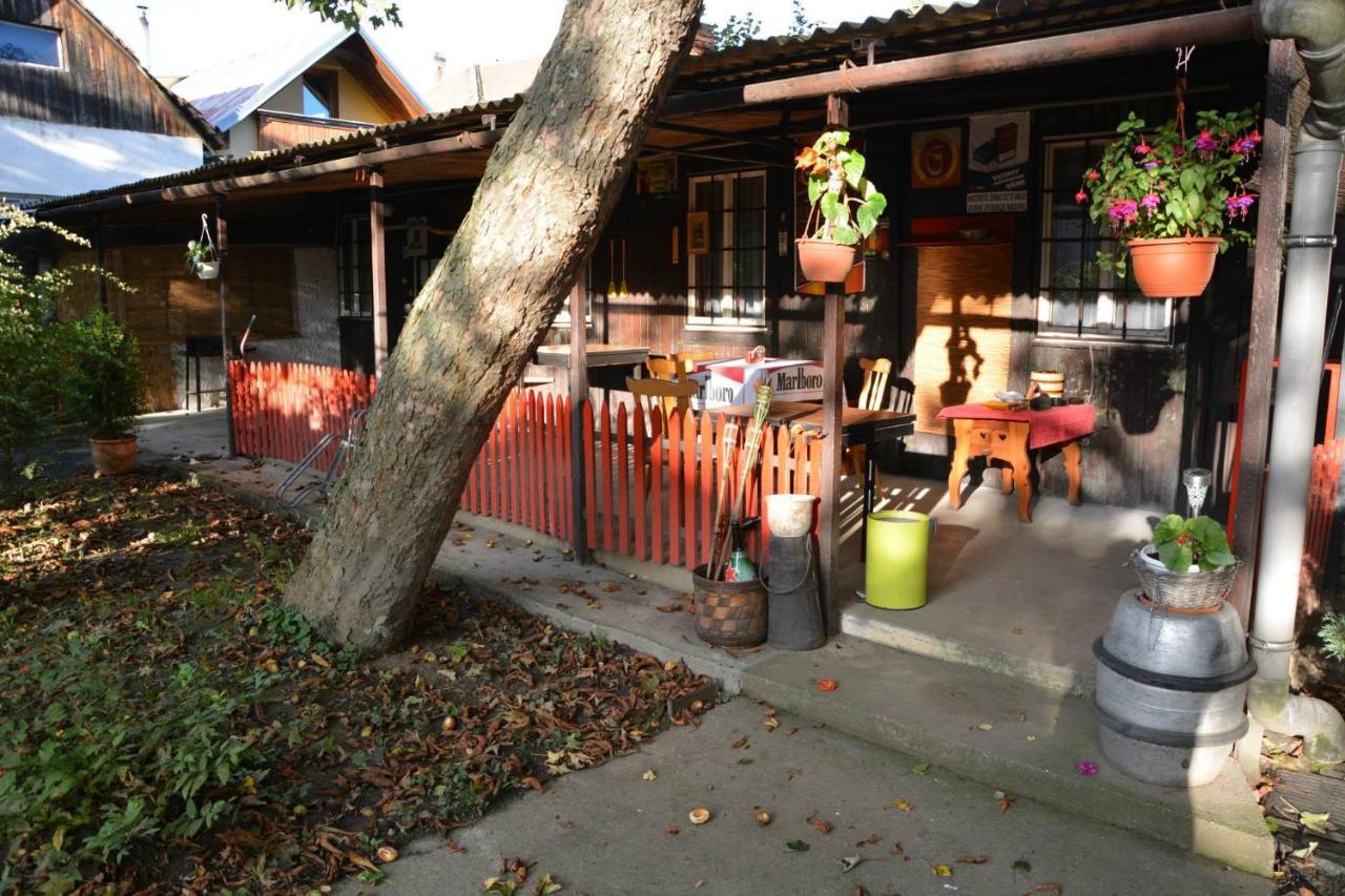 Slušovice Retro Vilaゲストハウス エクステリア 写真